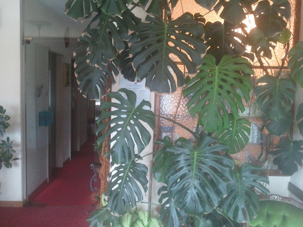 Hotel Lux Merano Ngoại thất bức ảnh